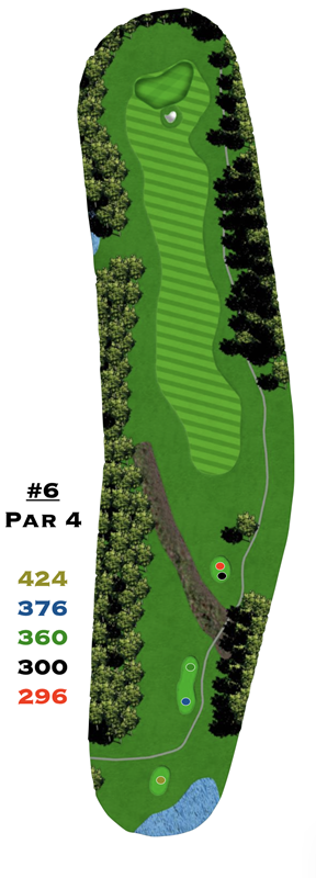 A drawing of a golf course with the number 4 on it