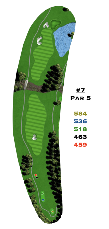 A drawing of a golf course with the number 7 on it