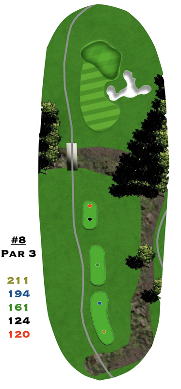 A picture of a golf course with the number 3 on it