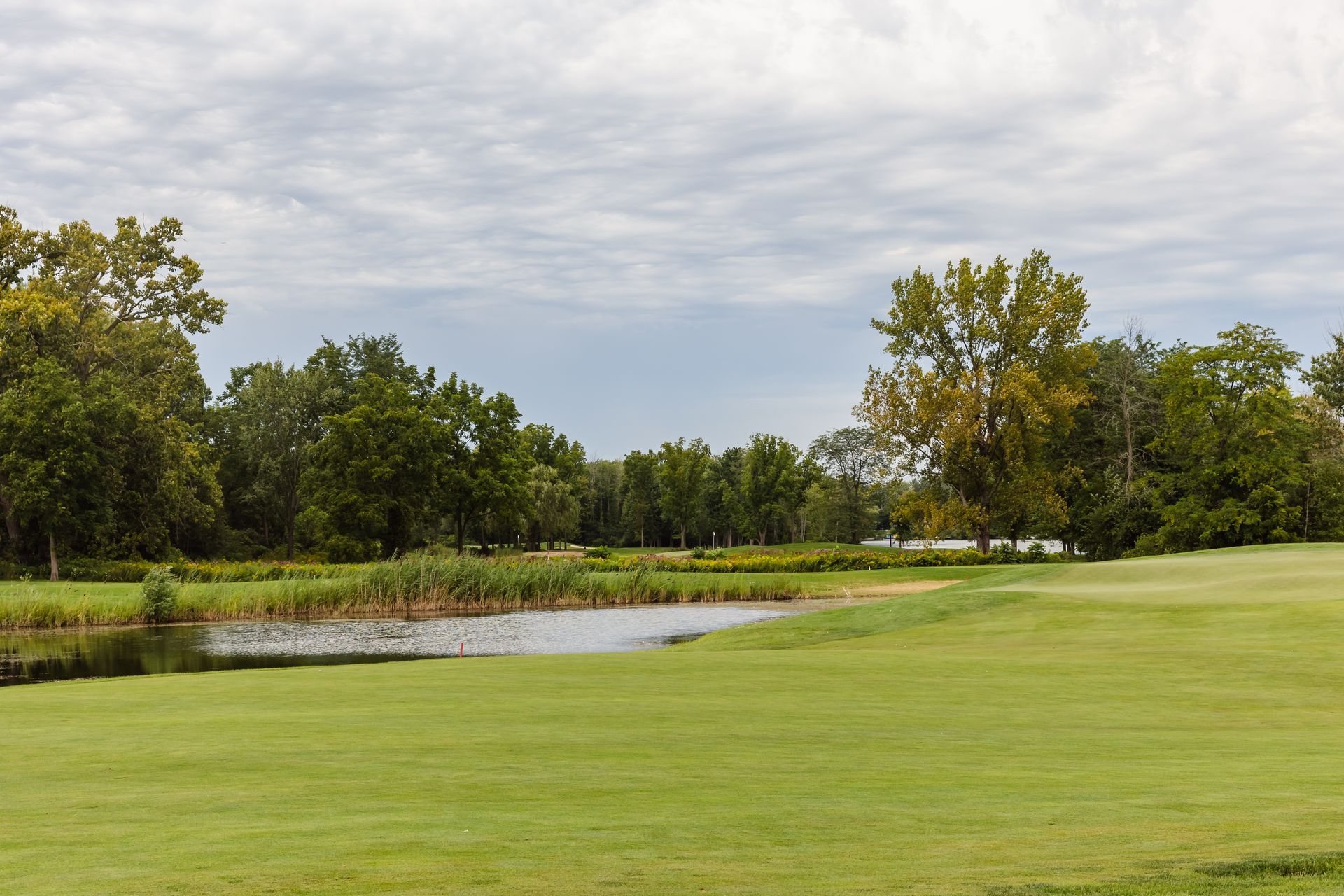 Green golf course with a pond and trees under a cloudy sky.