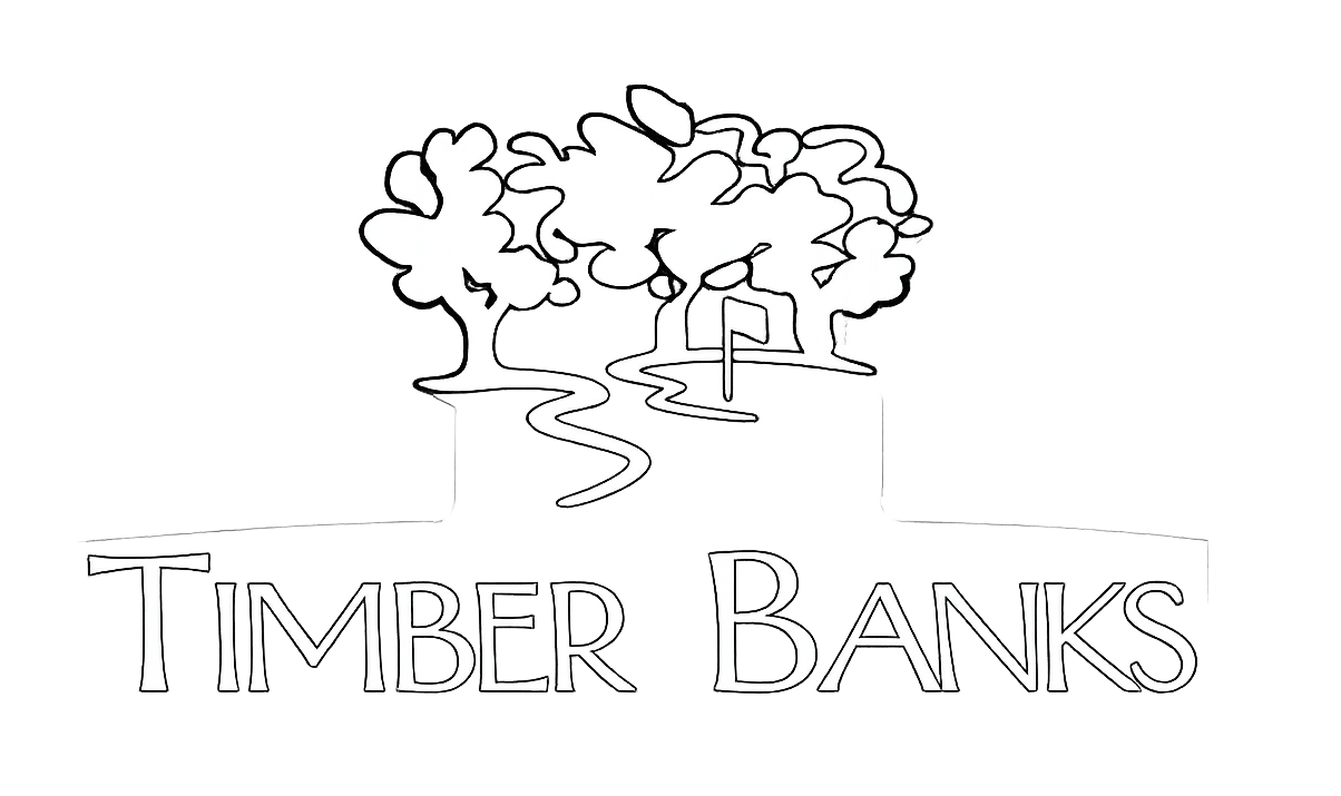 A white background with a few lines on it