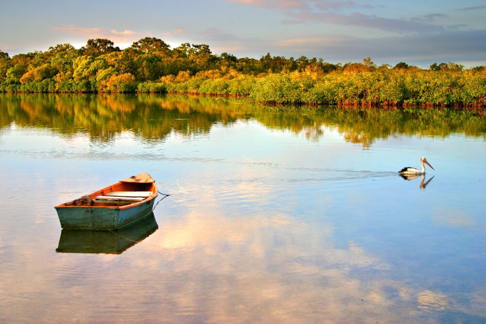 Boat Is Floating On A Lake With Trees In The Background — Mingleford Electrical Airconditioning Solar & Gas In Baringa, QLD