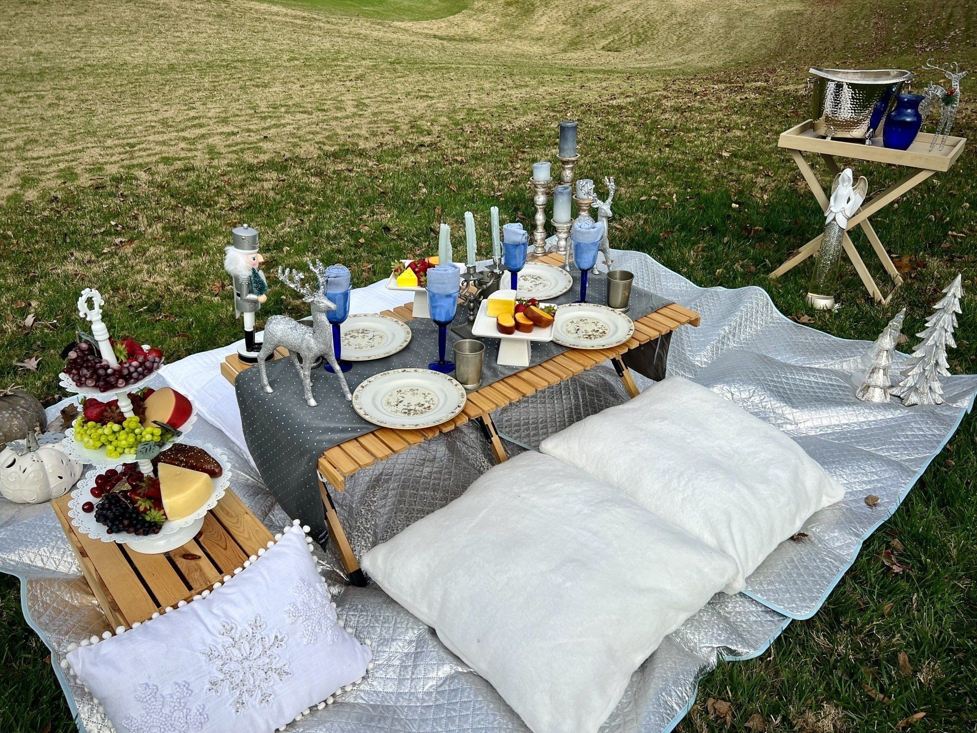 picnic setup for holiday
