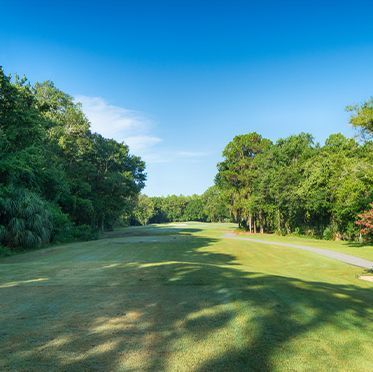 A golf course surrounded by trees and grass on a sunny day.