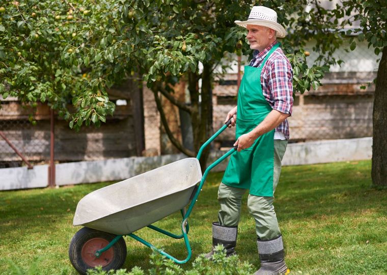 Person in green apron and hat pushing a wheelbarrow on grass in a garden.