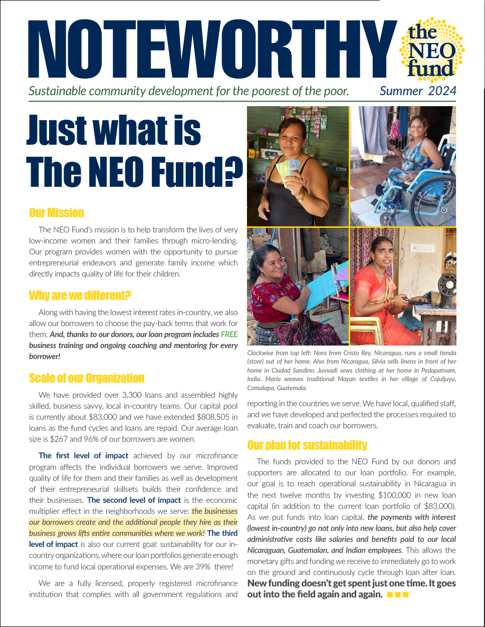 Cover page of the Summer 2024 newsletter for the NEO Fund
