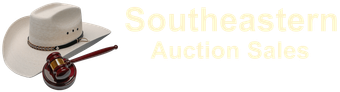 Southeastern Auction Company, Inc.