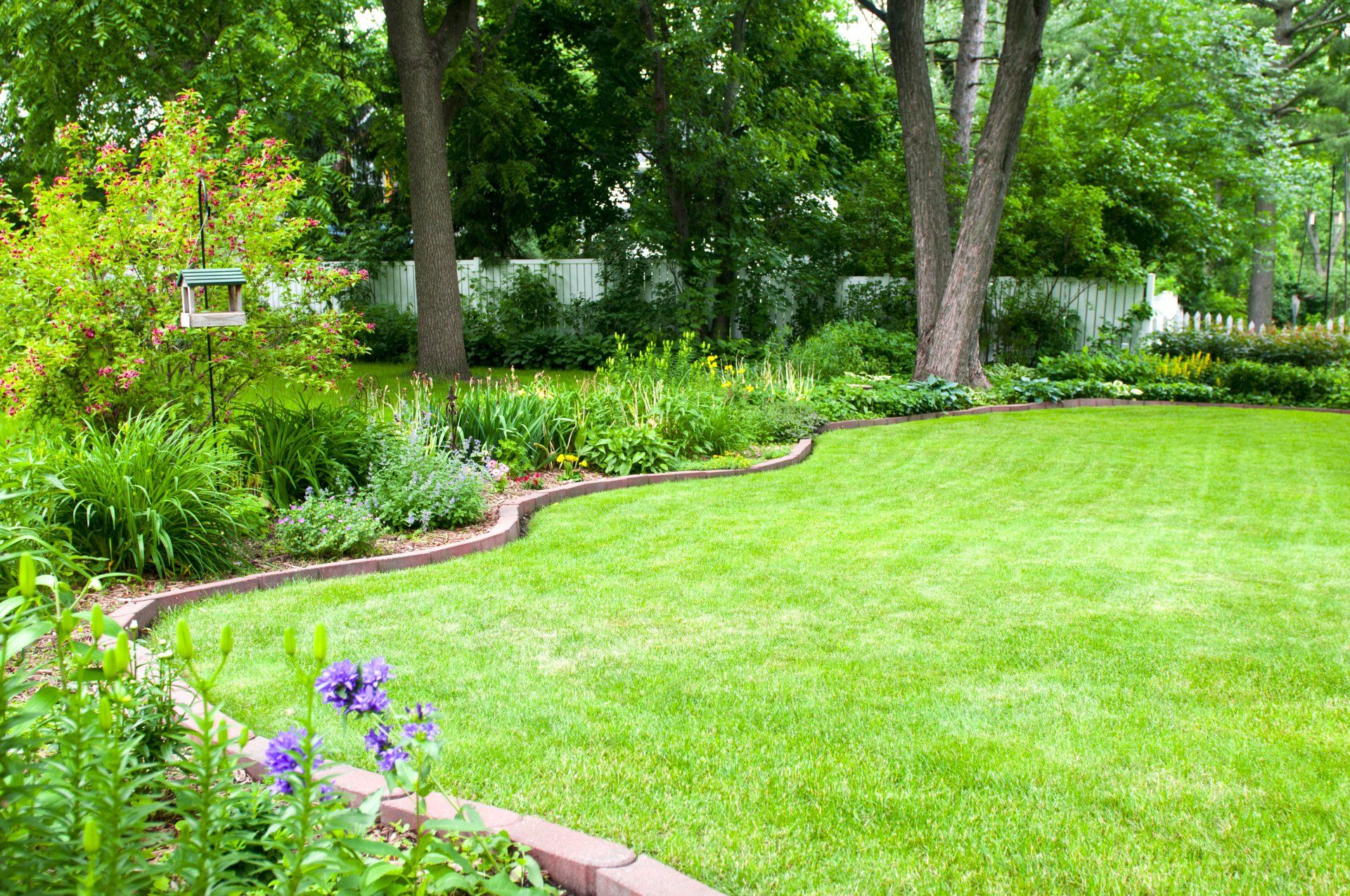 Large Backyard - Drumore, PA - Tanglewood Lawn Service