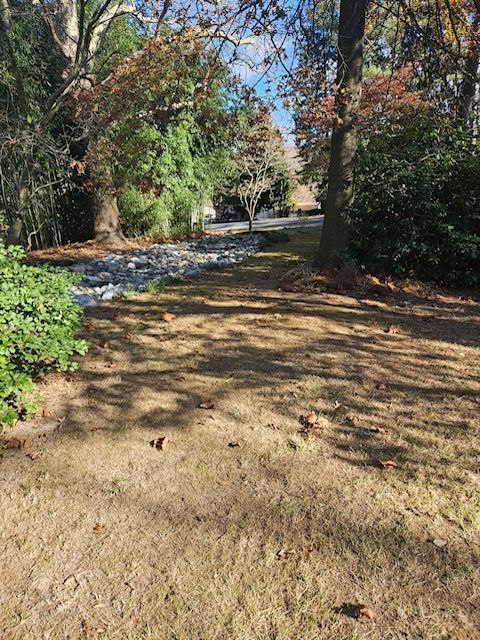 A Lawn with A Lot of Leaves on It and Trees in The Background.