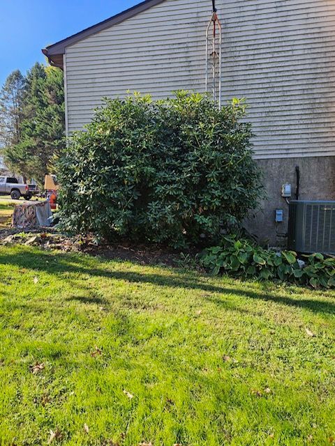 A House with A Large Bush in Front of It.