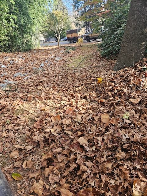 A Pile of Leaves on The Ground Next to A Tree.