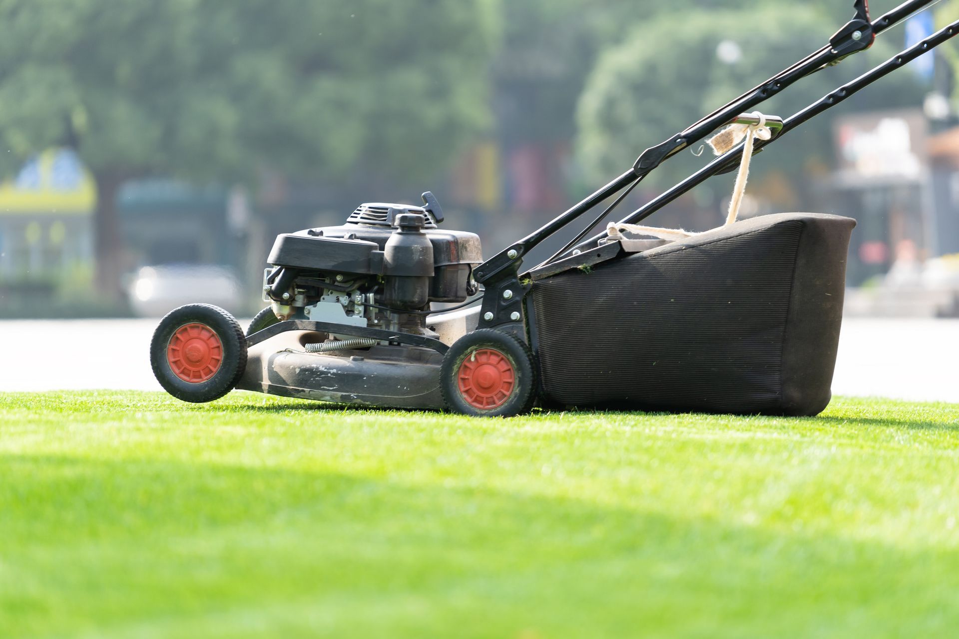 A lawn mower is cutting a lush green lawn - Drumore, PA - Tanglewood Lawn Service