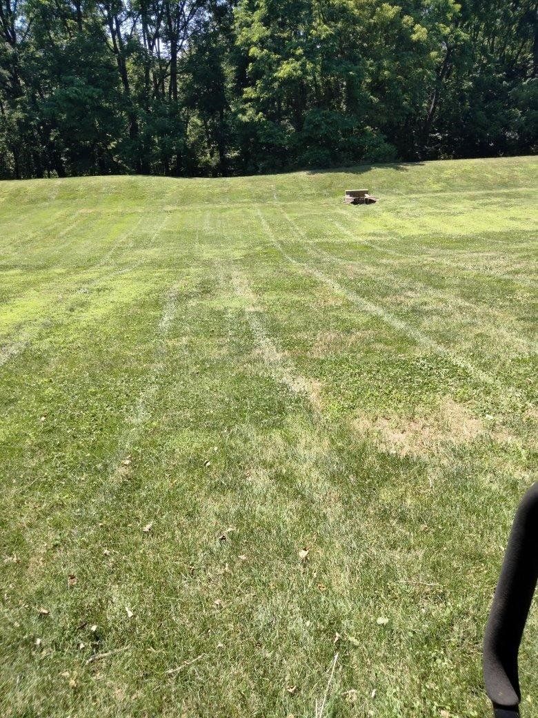 Before Green Grass Trimming — Drumore, PA — Tanglewood Lawn Service