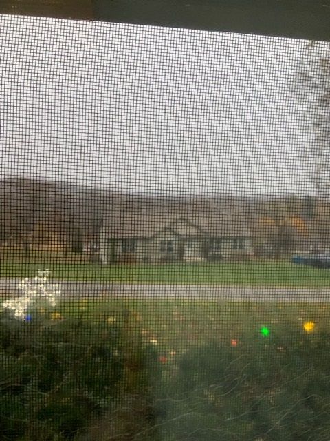 A View of A House Through a Screened in Window.