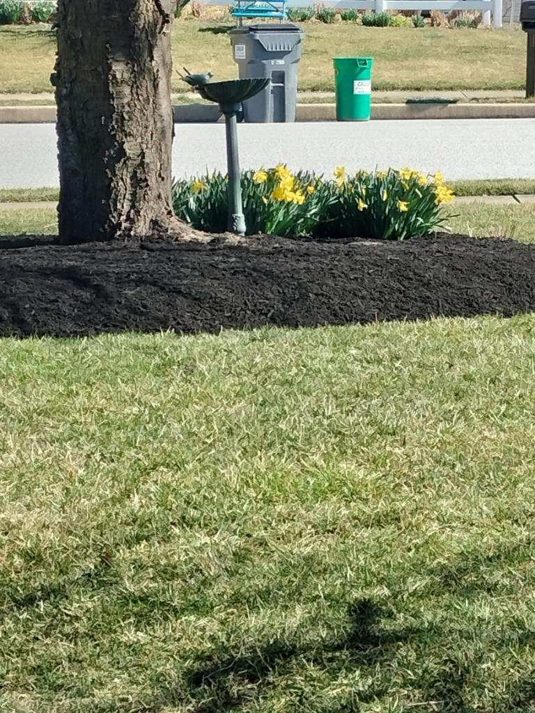 Well Maintained Lawn — Drumore, PA — Tanglewood Lawn Service