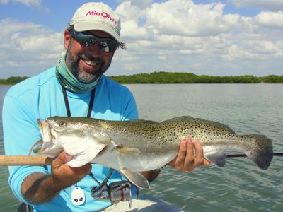 C.A. Richardson on X: Paul Brown Lure, is there a better bait for  #speckledtrout in cold water? #mirrolure #plugfishing #flatsclass   / X