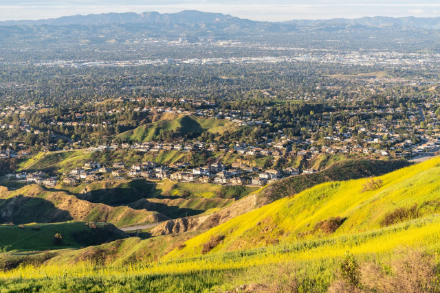A wide view of rolling green hills in the foreground with bright yellow patches of wildflowers, overlooking a large cityscape that stretches toward distant mountains under a clear sky.