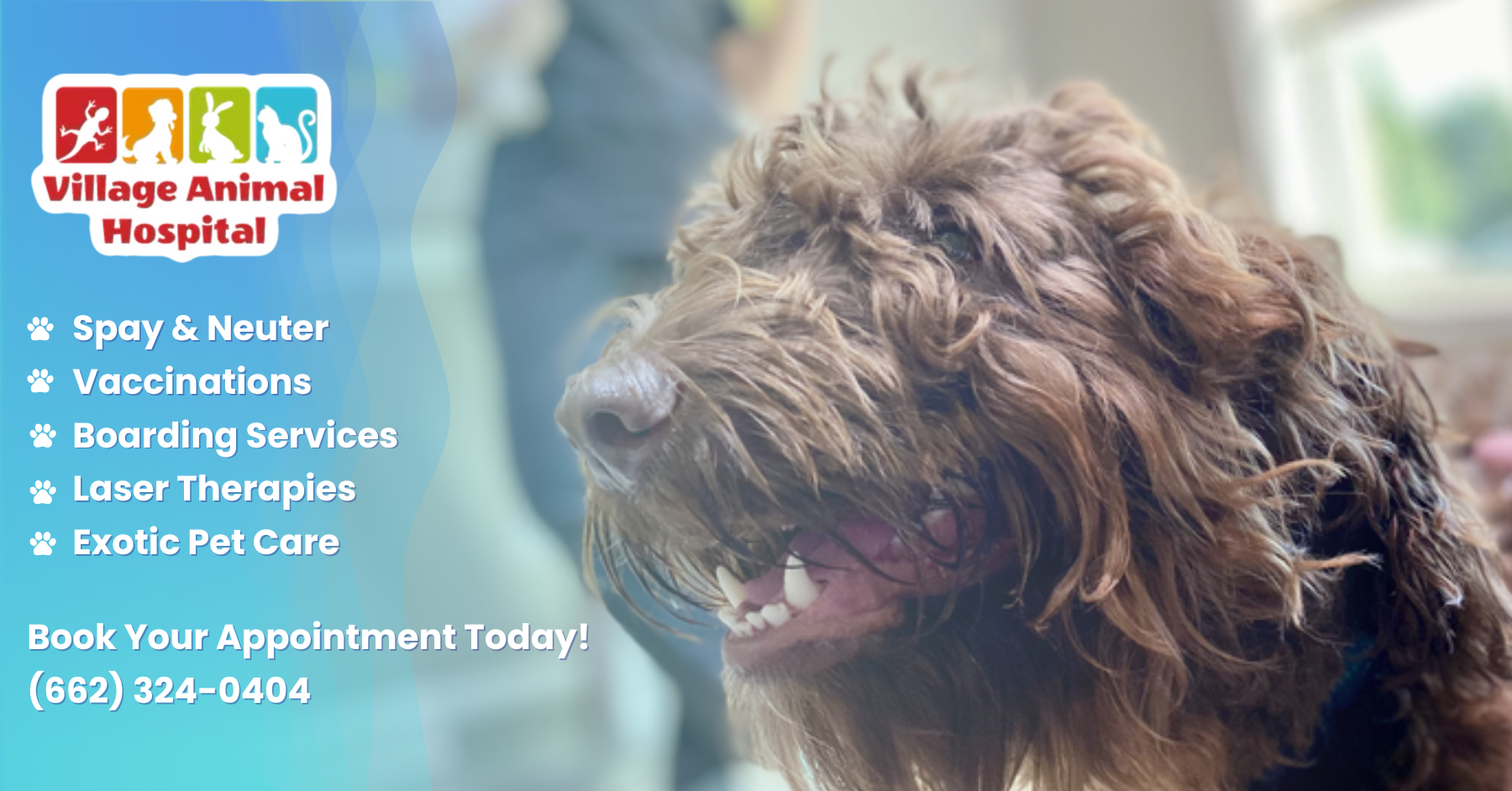 Village Animal Hospital logo