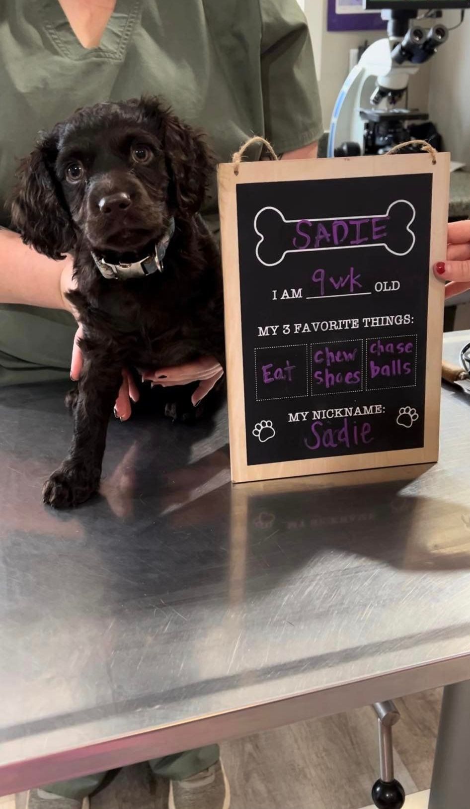 A woman is holding a puppy and a chalkboard with a bone on it.