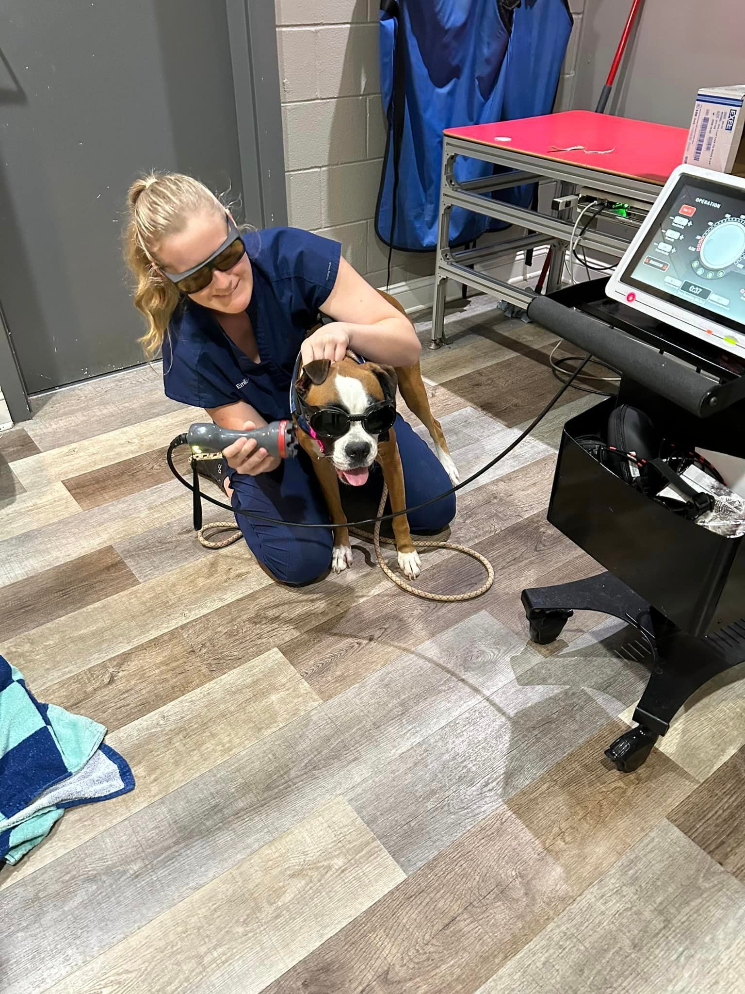 A woman is kneeling down next to a dog wearing sunglasses.