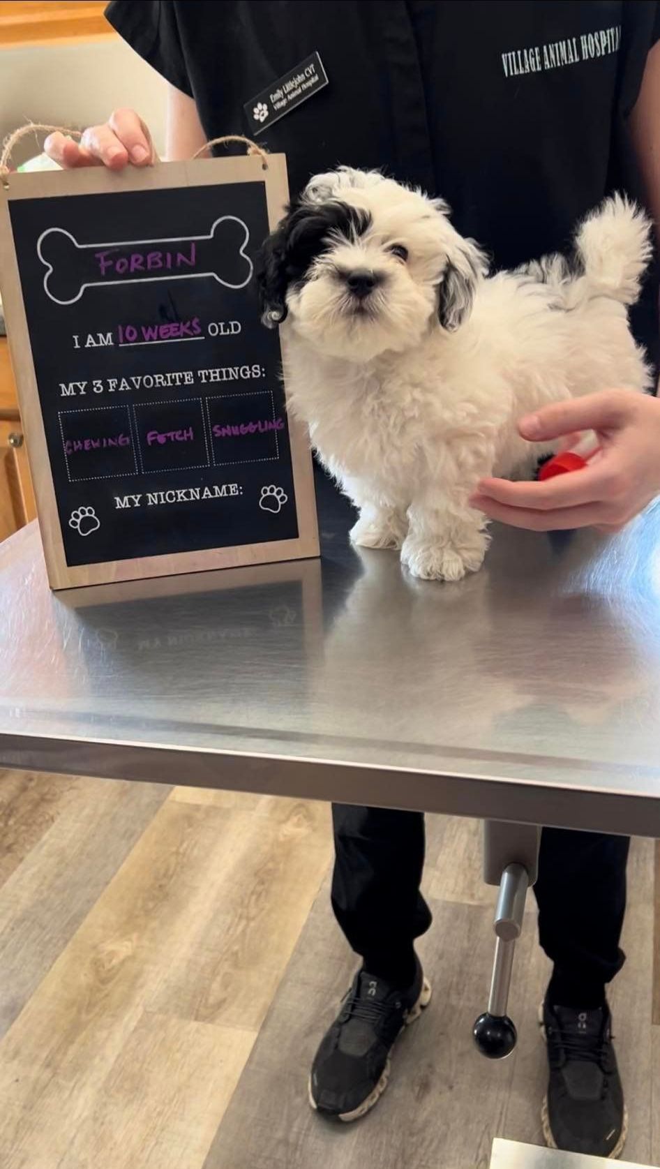 A person is holding a chalkboard with a dog on it.