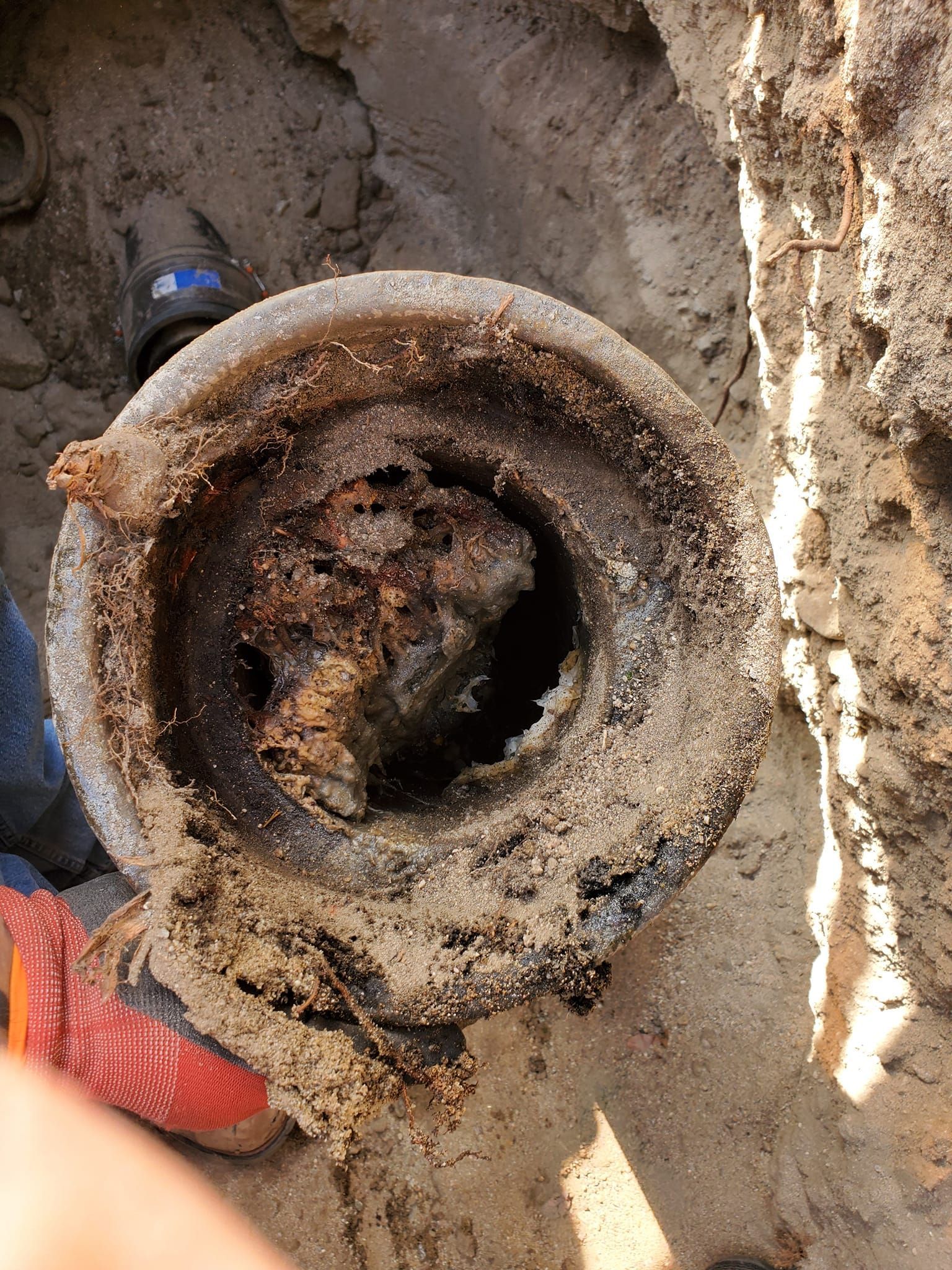 A person is holding a rusty object in the dirt.