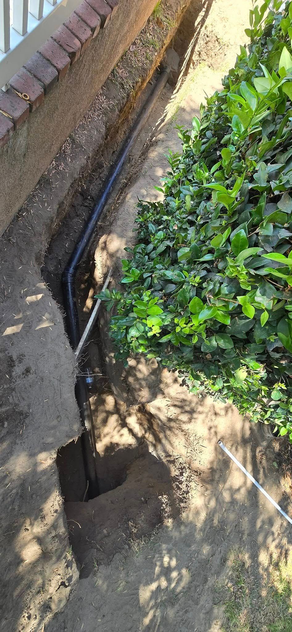 A person is digging a hole in the ground next to a bush.