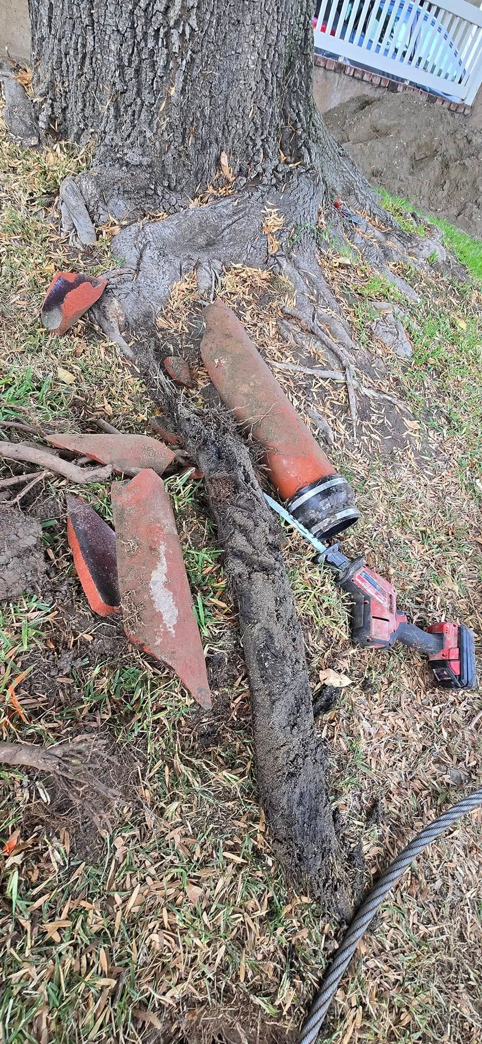 A chainsaw is laying on the ground next to a tree.
