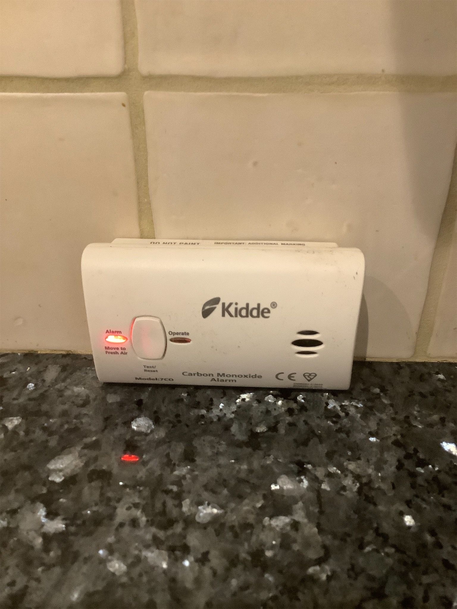 Carbon monoxide alarm on kitchen work surface – documented for inventory report