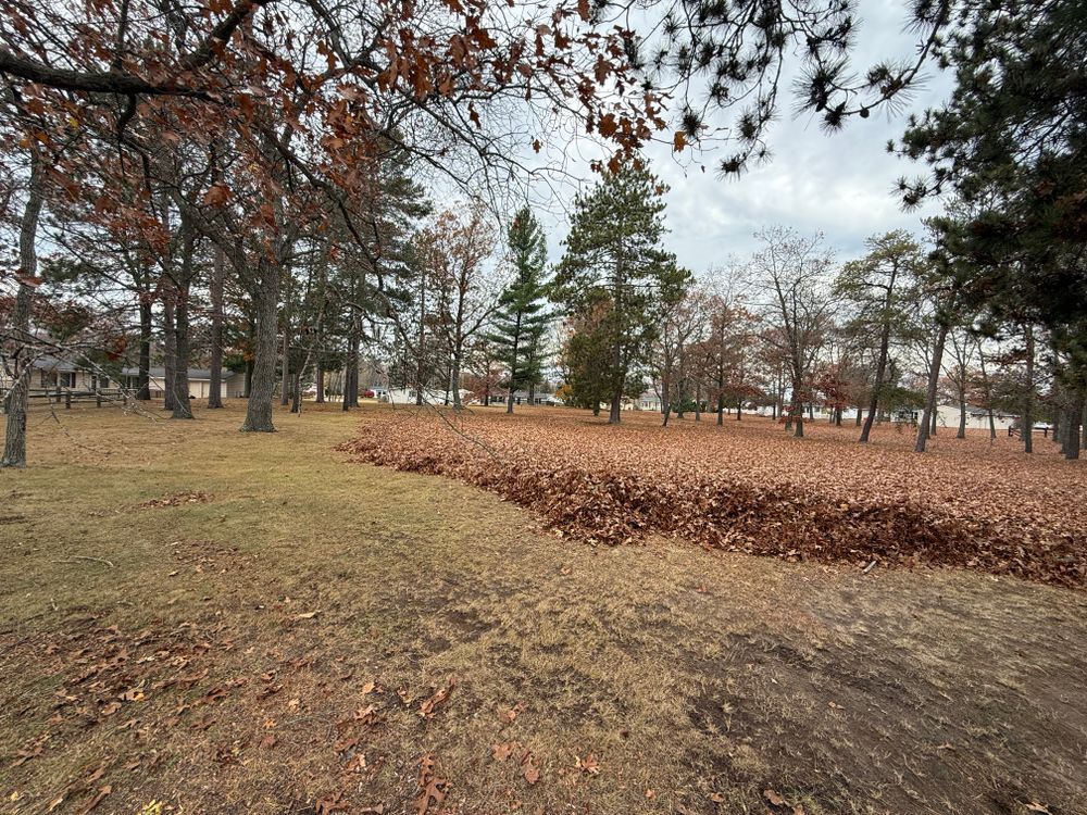 A field covered in leaves in a park with trees in the background.