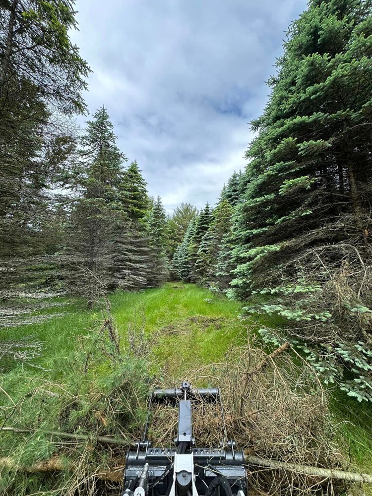 A tractor is driving down a dirt road in the middle of a forest.