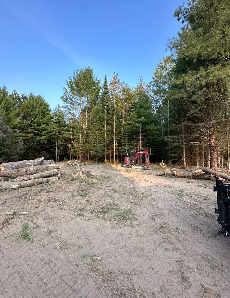 A large pile of logs in a dirt field with trees in the background.