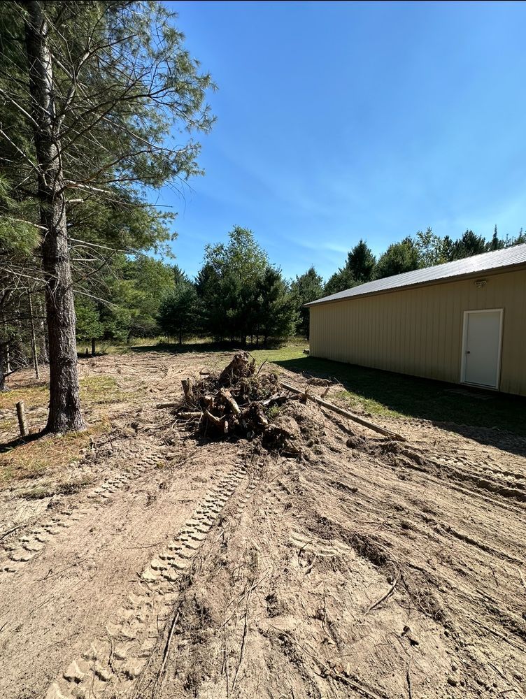 A dirt road leading to a building in the middle of a forest.