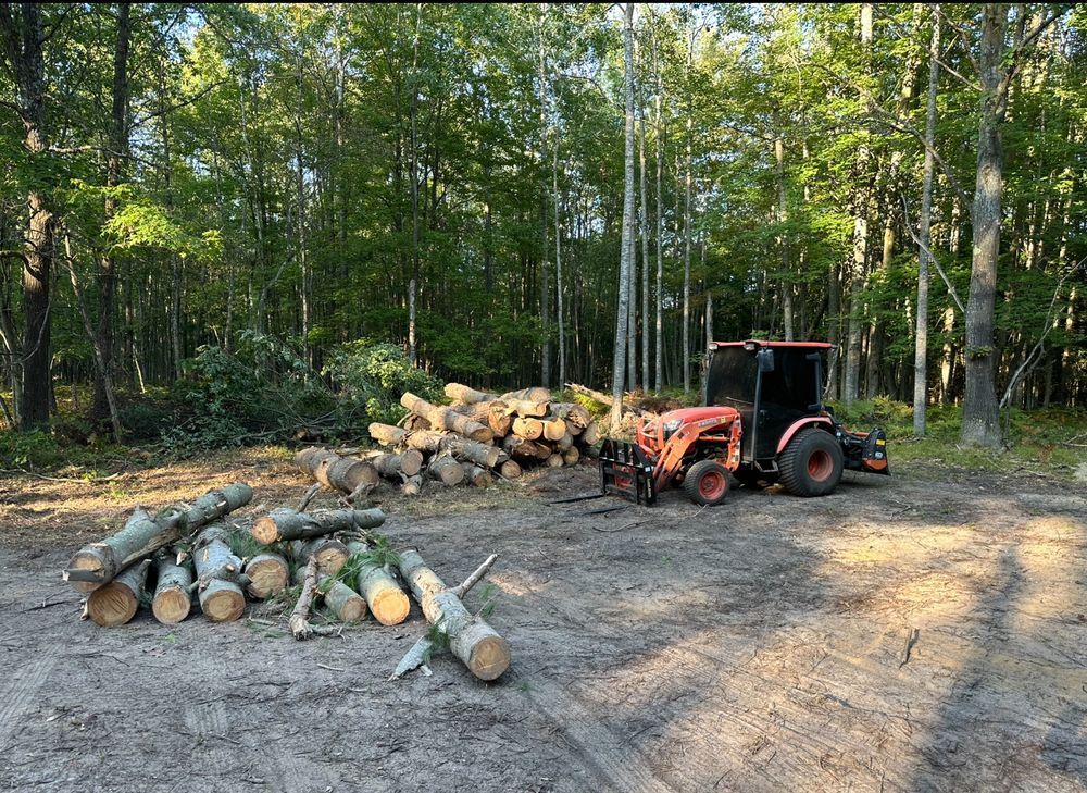 A tractor is sitting next to a pile of logs in the middle of a forest.