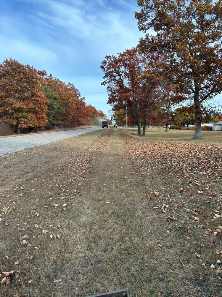 A road with trees on the side of it and a lot of leaves on the ground