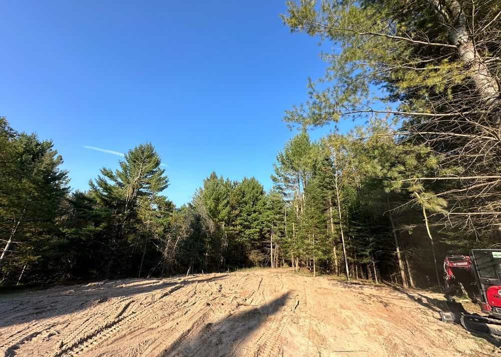 A dirt road in the middle of a forest with trees on both sides.