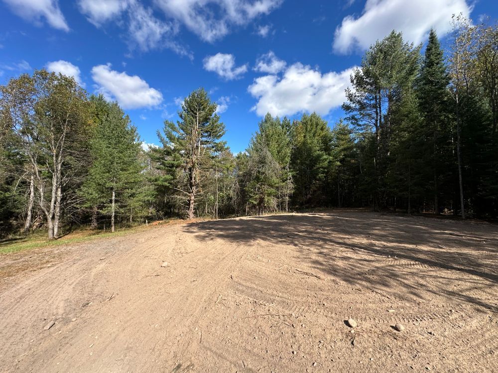 A dirt road in the middle of a forest on a sunny day.