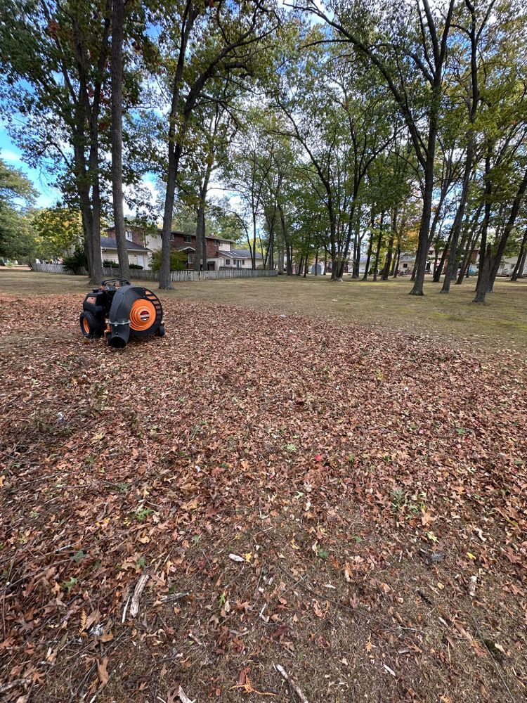 A person is using a leaf blower to blow leaves in a park.