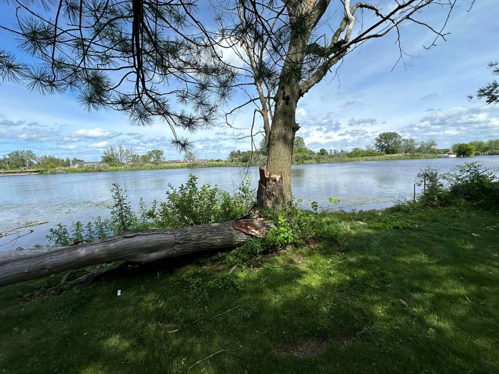 A tree trunk is laying in the grass next to a lake.