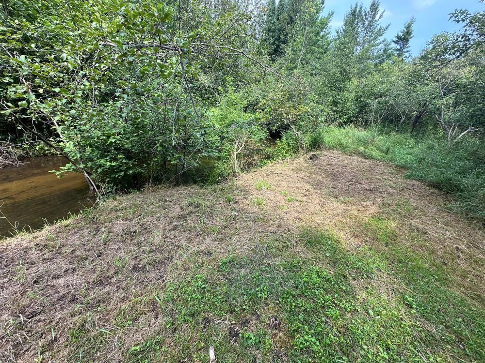 A dirt road going through a lush green forest next to a river.