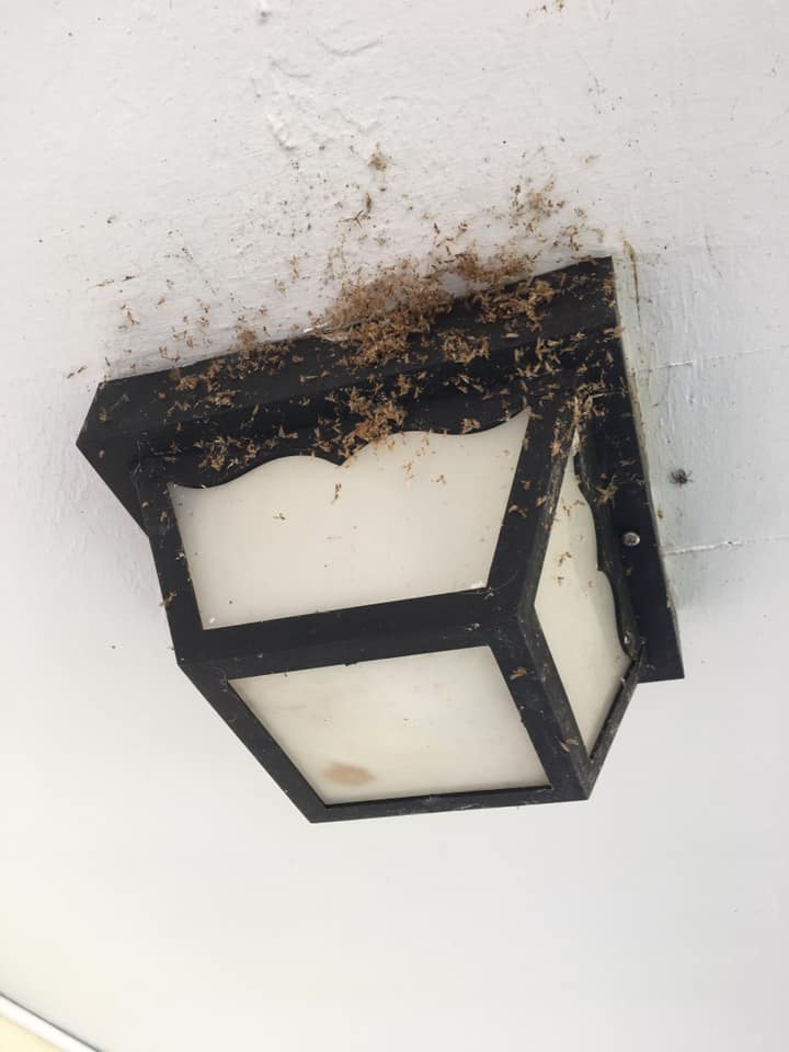 A lamp with a lot of dust on it