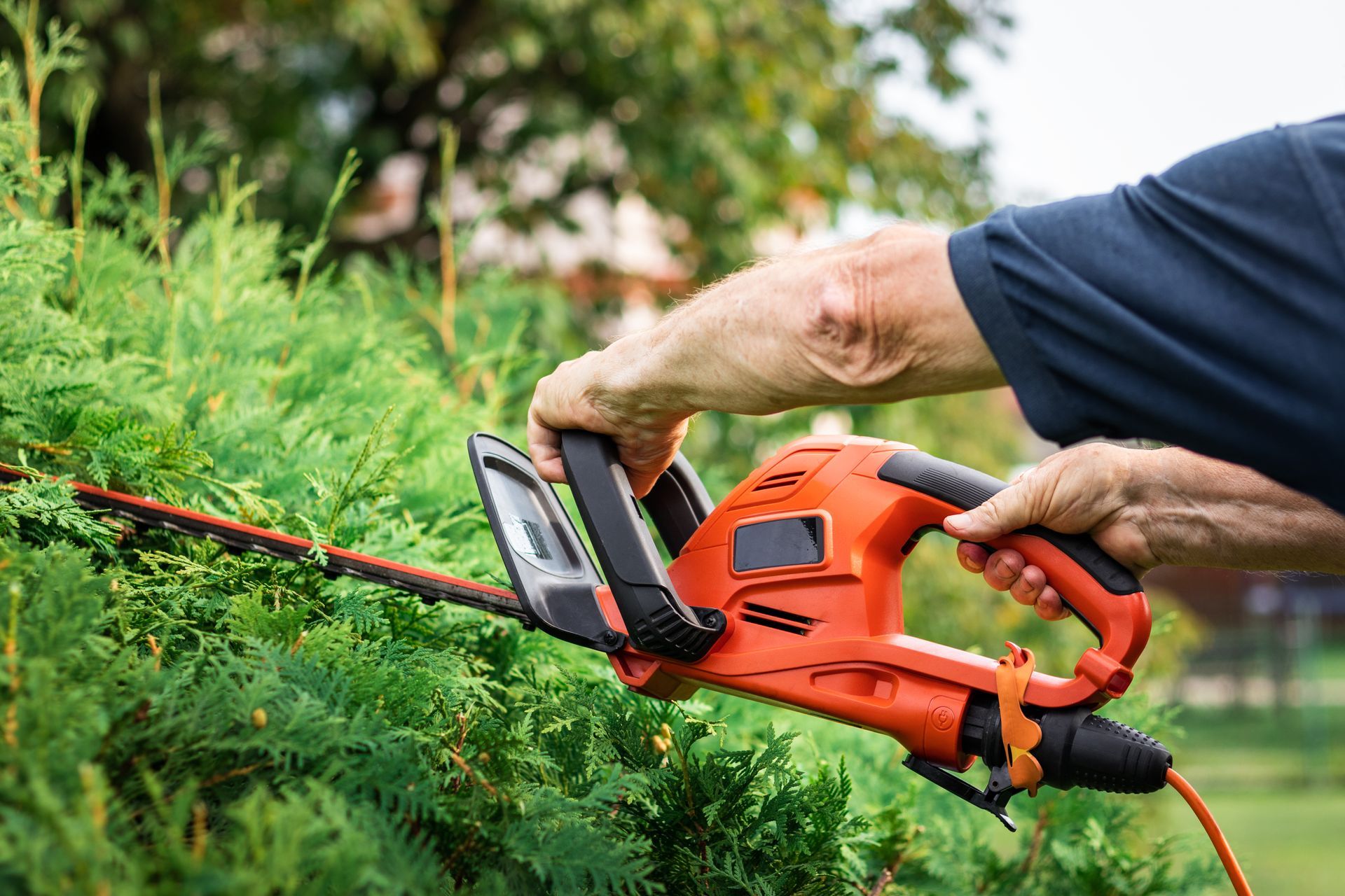 Homeowner in Louisville performing some DIY landscape maintenance, trimming his brushes.