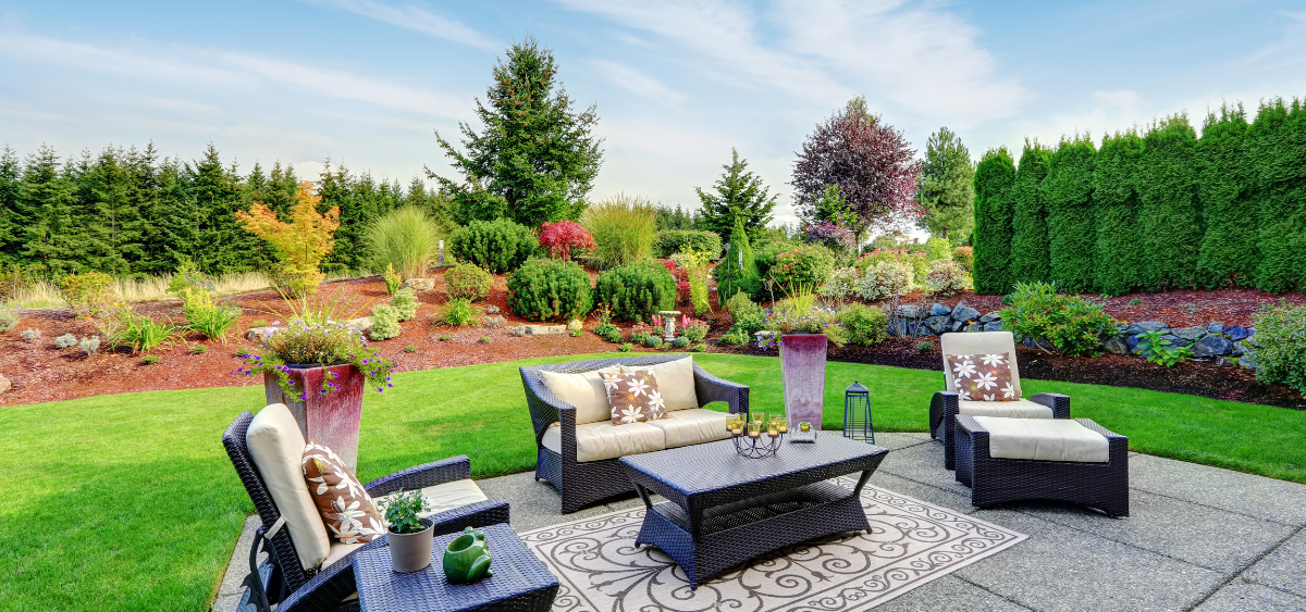 Backyard with a patio and tall trees to function as privacy screens