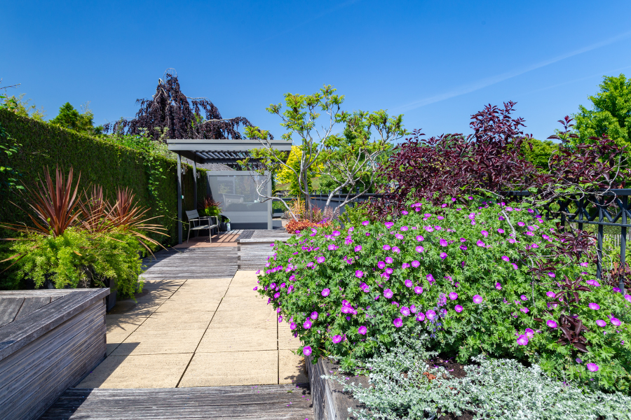 Beautiful plants in a landscaped Garden in Louisville