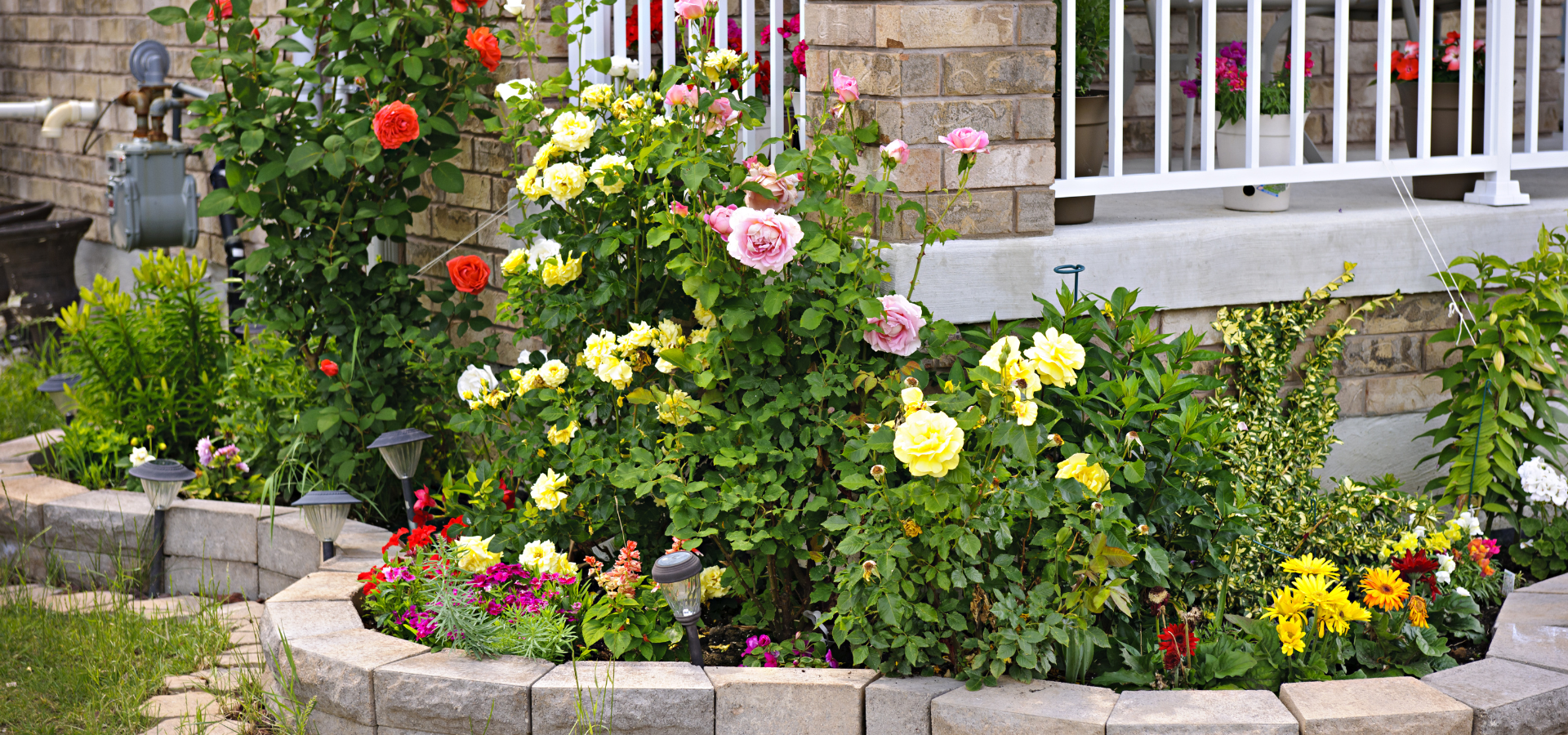 Beautiful combination of plants carefully picked out by Louisville Landscape Pros