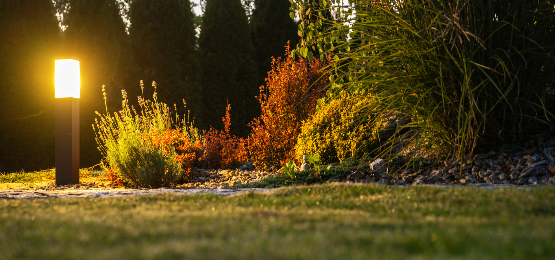 A bollard light in the backyard of our client