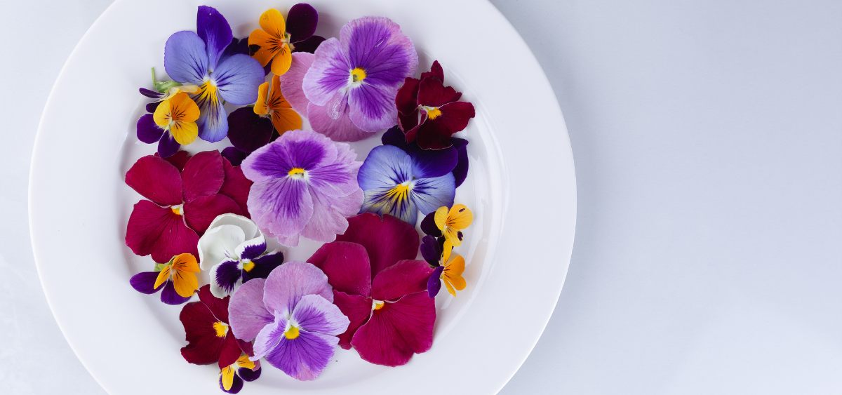 Edible flowers harvested from an edible garden plated nicely on a plate