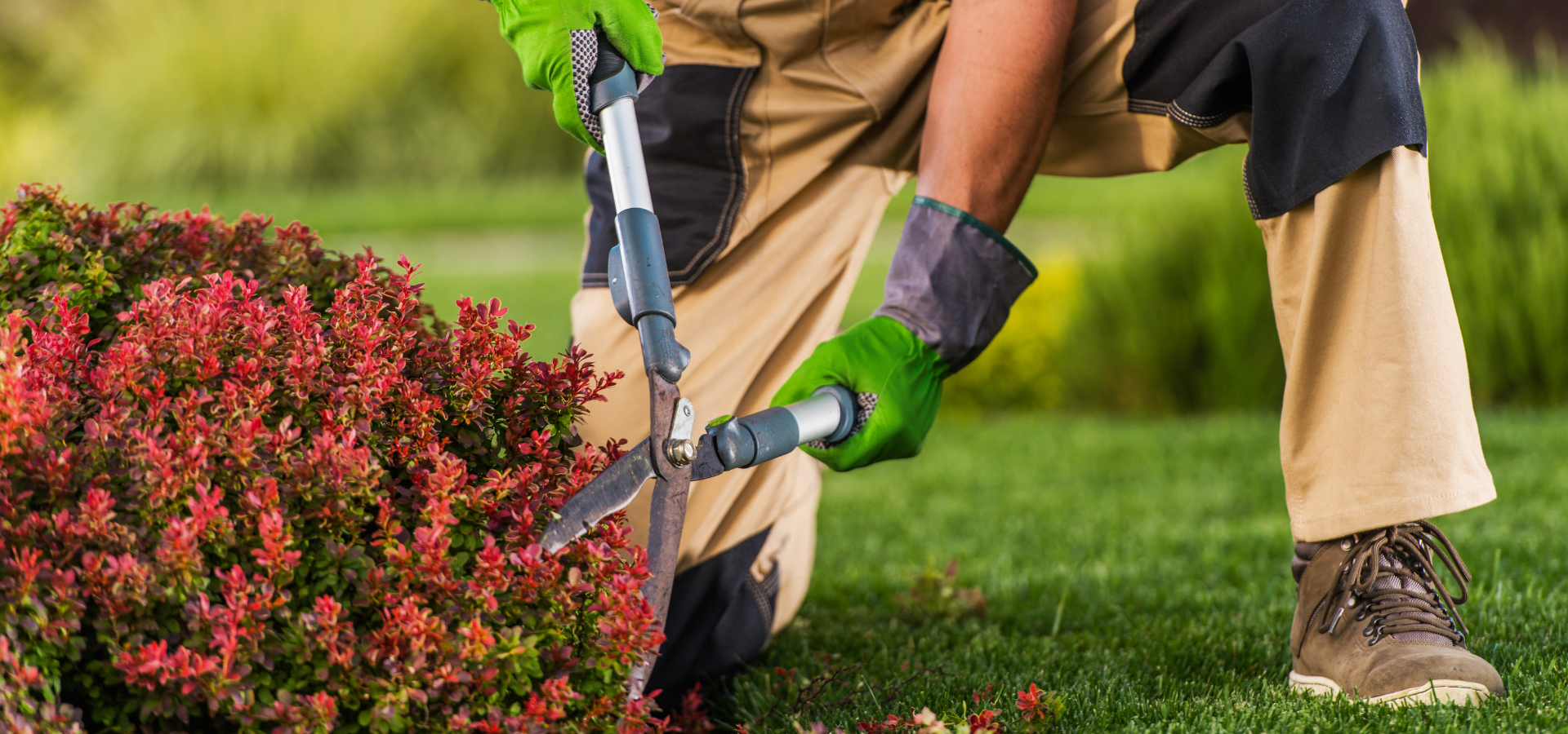 A professional gardener trimming plants in a garden as part of seasonal maintenance