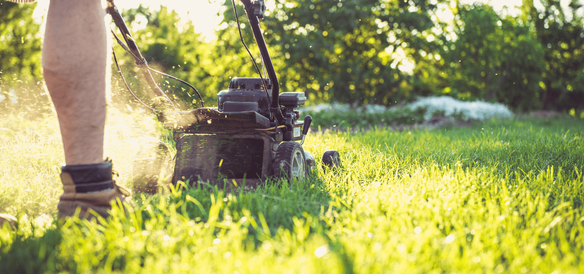 A Louisville homeowner mowing his lawn using an electric lawn mower