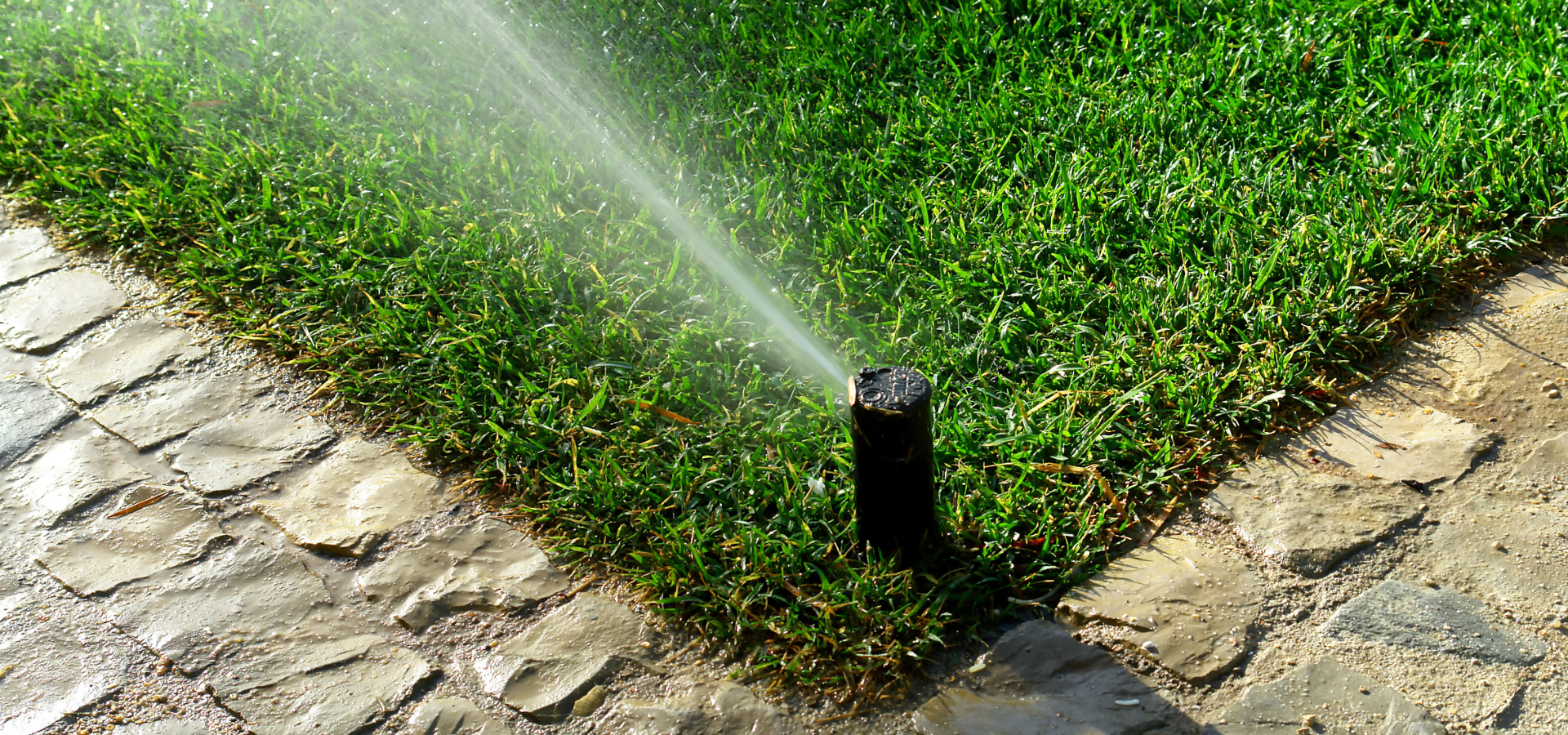 Irrigation system watering a lawn